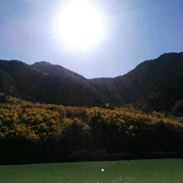 绘夏头像