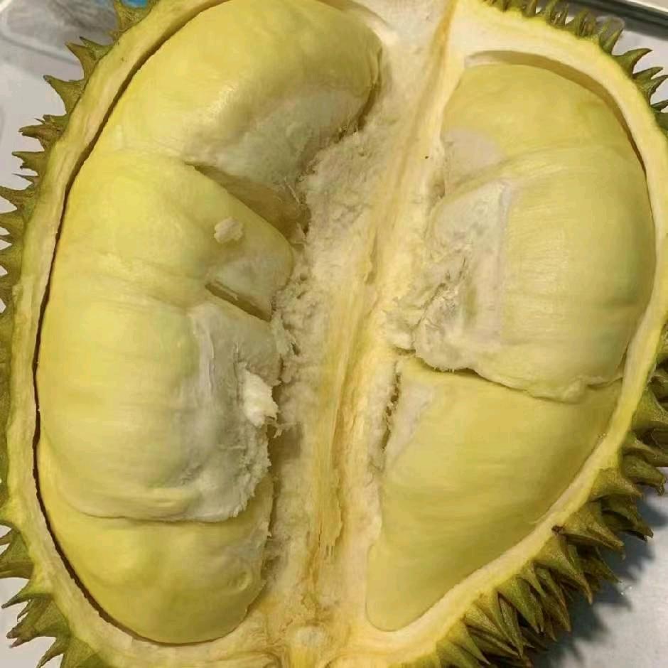 榴莲一手货源