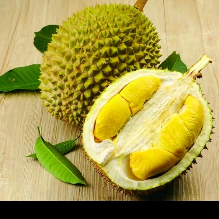 爱吃榴莲🌸