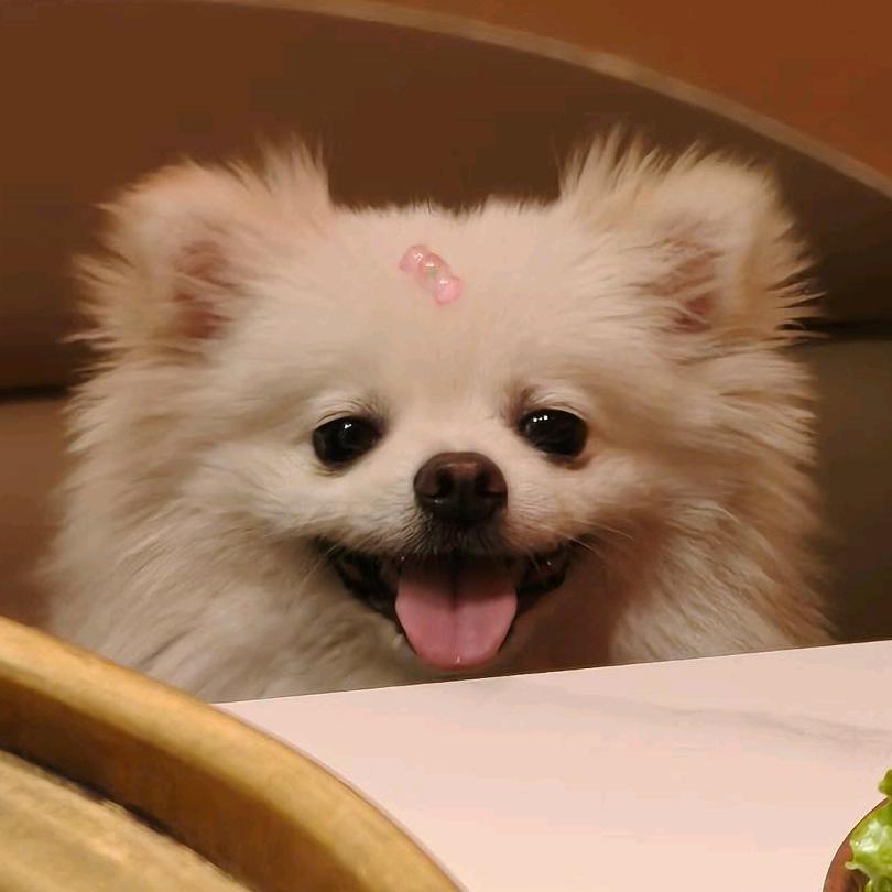 叫我羊 sir