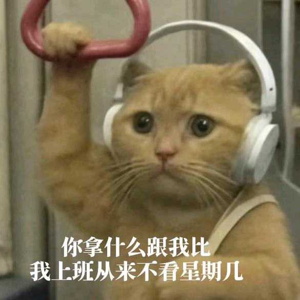 九九八十一