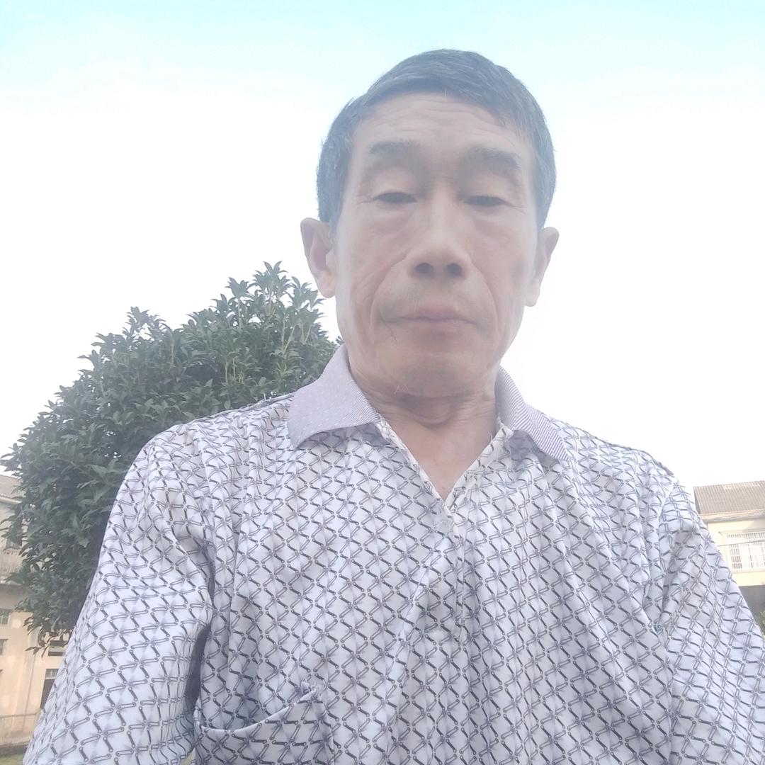 神密奇蜂