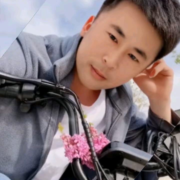青叶配绿草