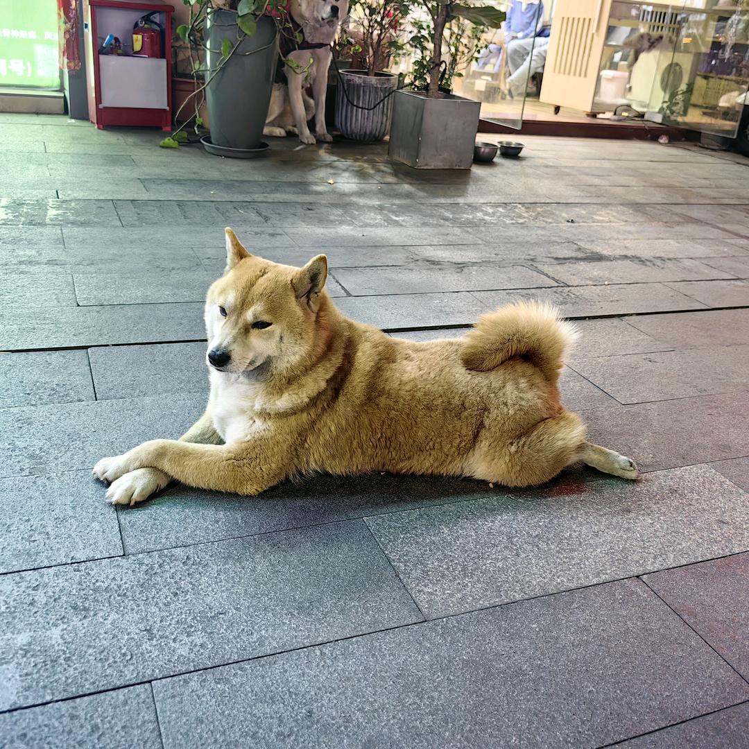 戏如人生