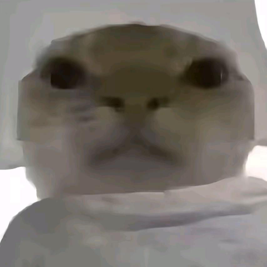 琳中小元