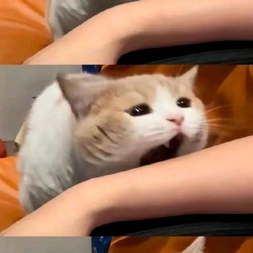 我怎么睡不着