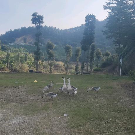 仰望～《神》～平安～喜乐～