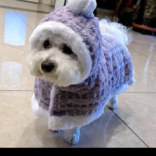 🌺🥀🎋绚李多彩🌺🥀🌹