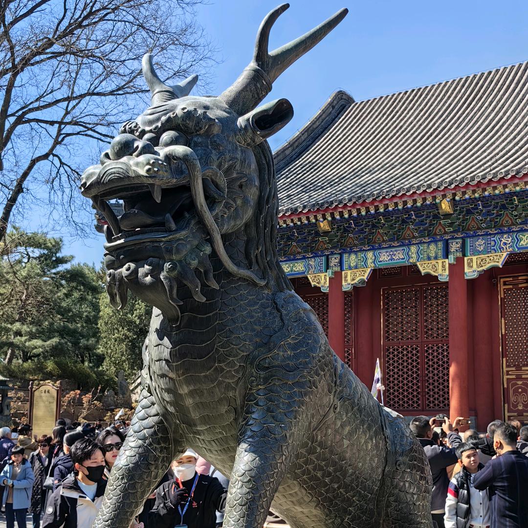 登哥雄起！头像