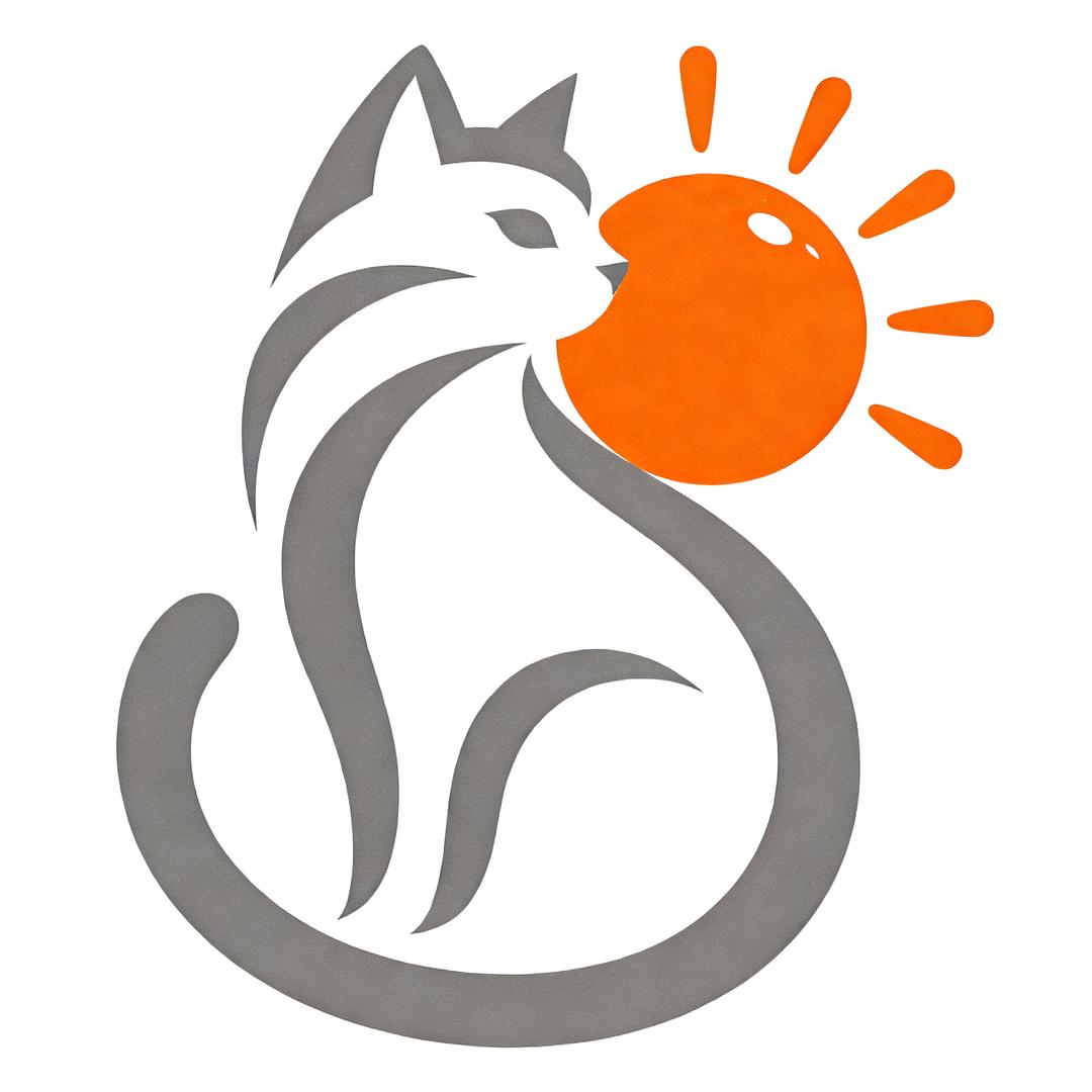 桔子猫解码
