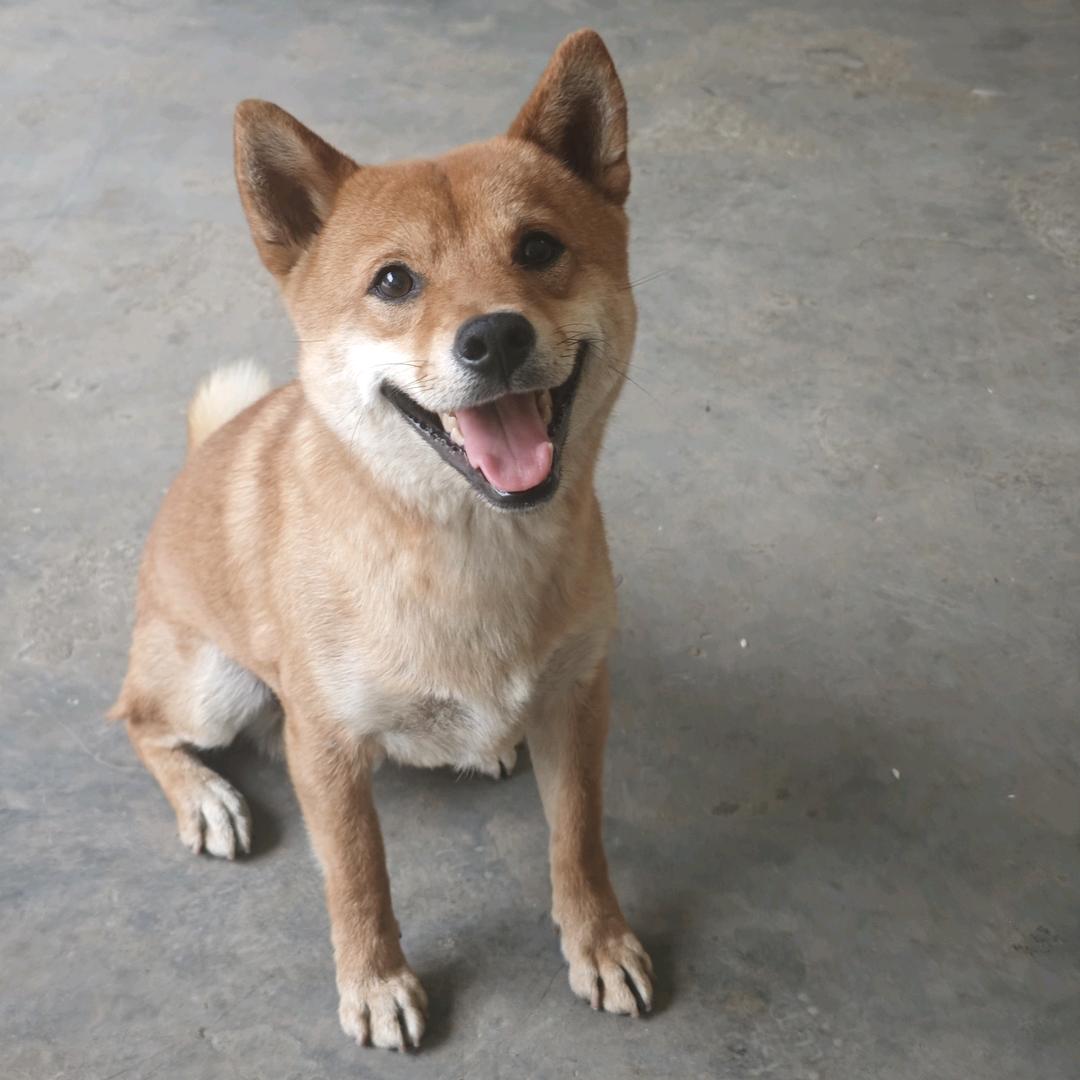 Lu