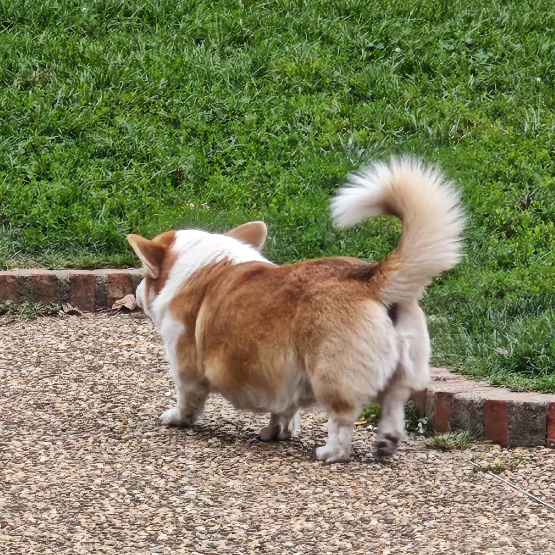 Benny