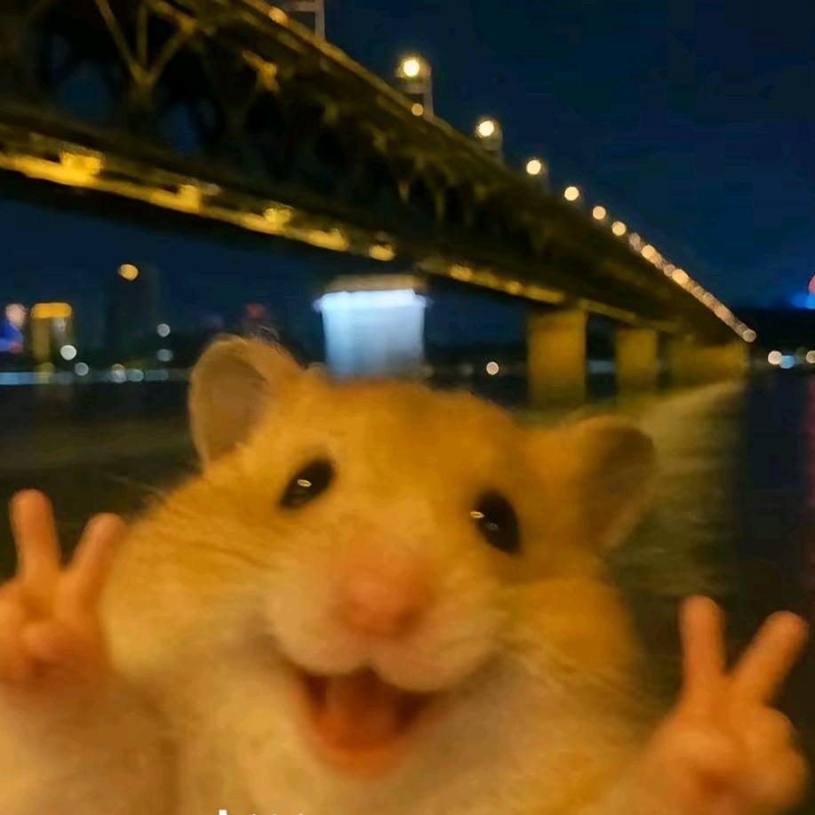 张小胖 努力考科一