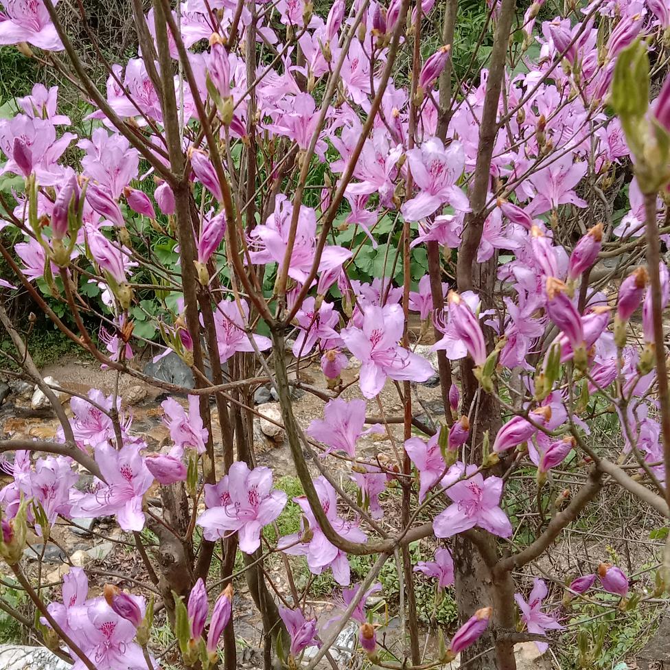 缘分