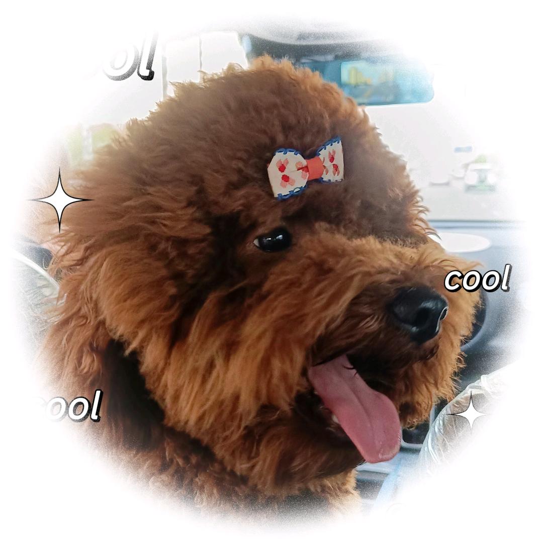 轻舟^O^