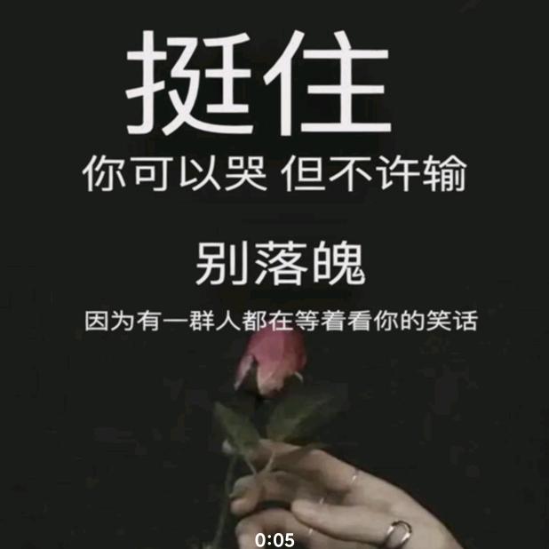 用户子涵