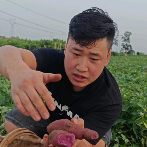 小翁不倒(卷土种菜）