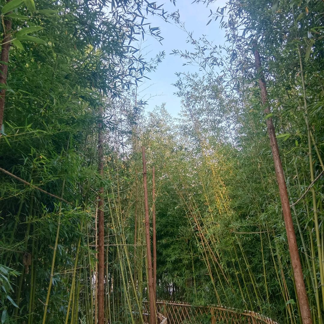 金沙生态农庄中卫金沙生态农庄