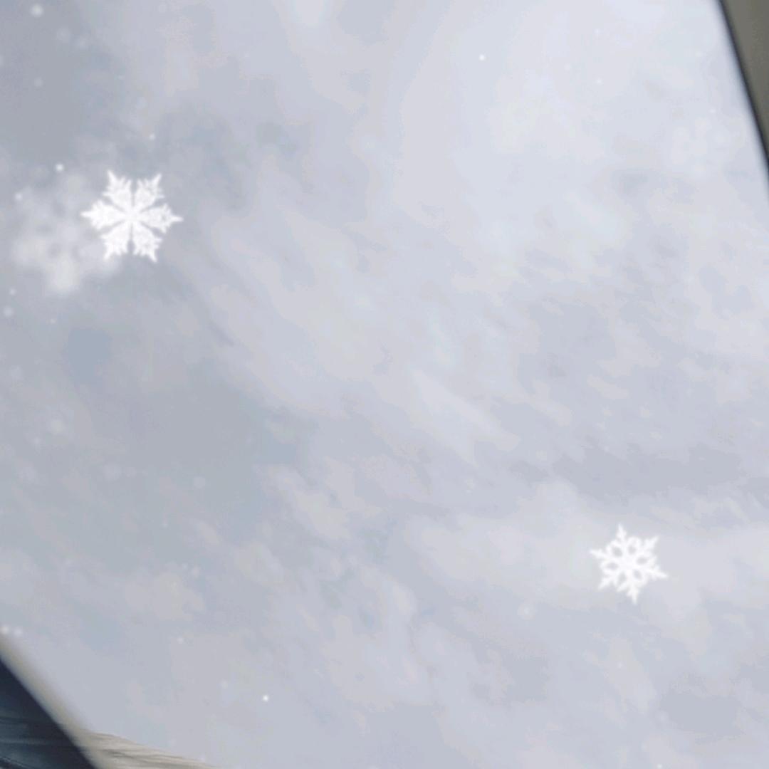 www
