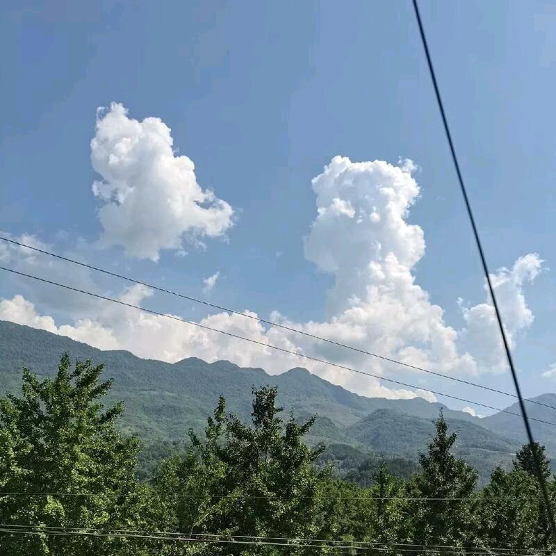 小哼