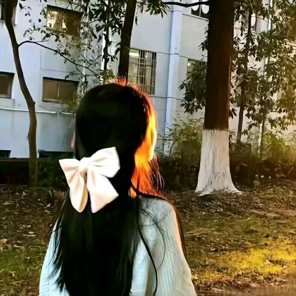 🌸菲菲🌸
