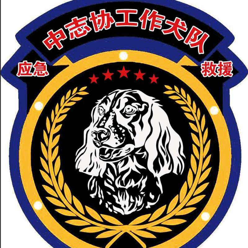汪汪队