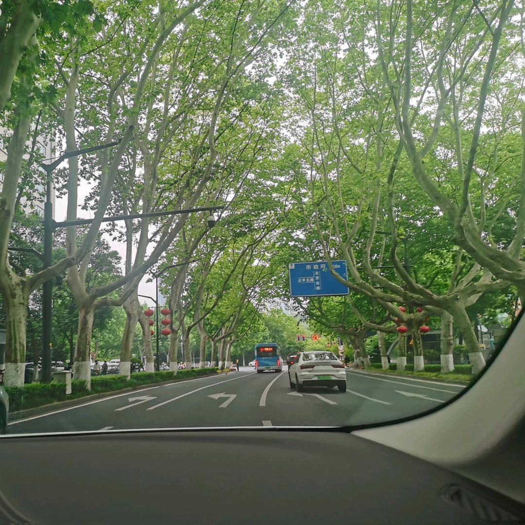 愿我们都得偿所愿