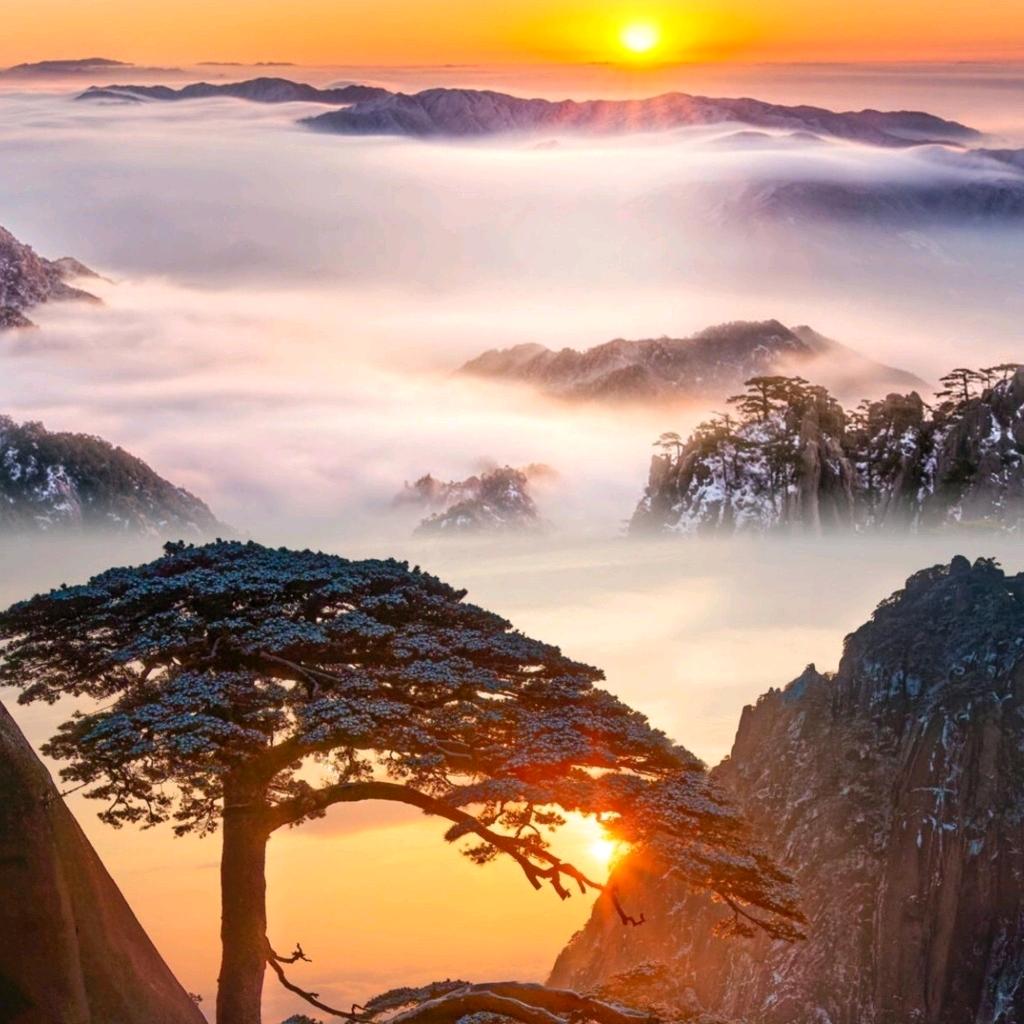 不靠谱哥
