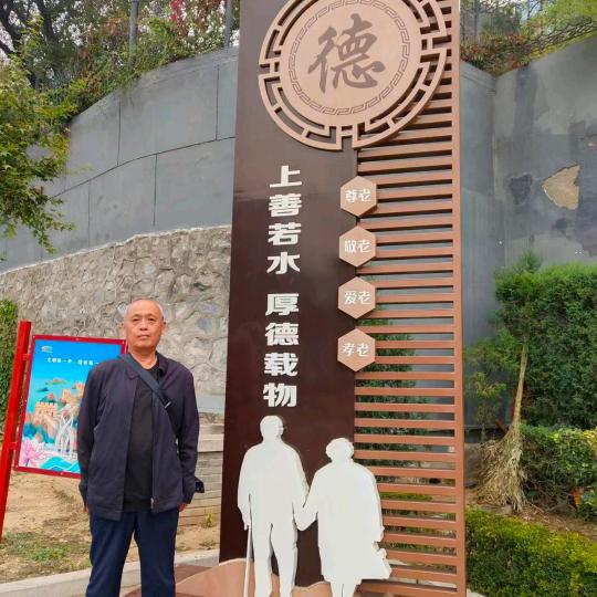 老有所依