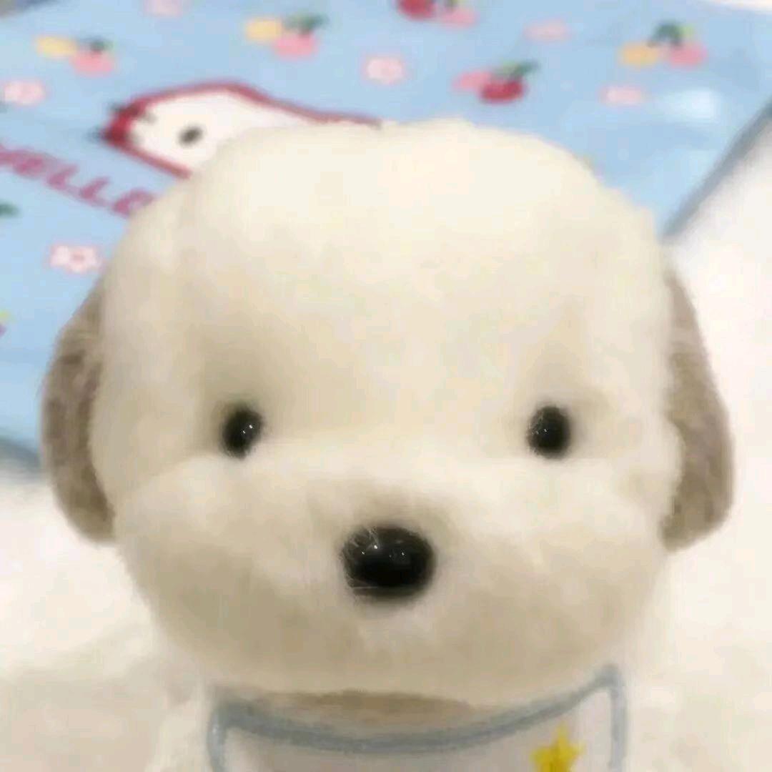 小猫变成手电筒