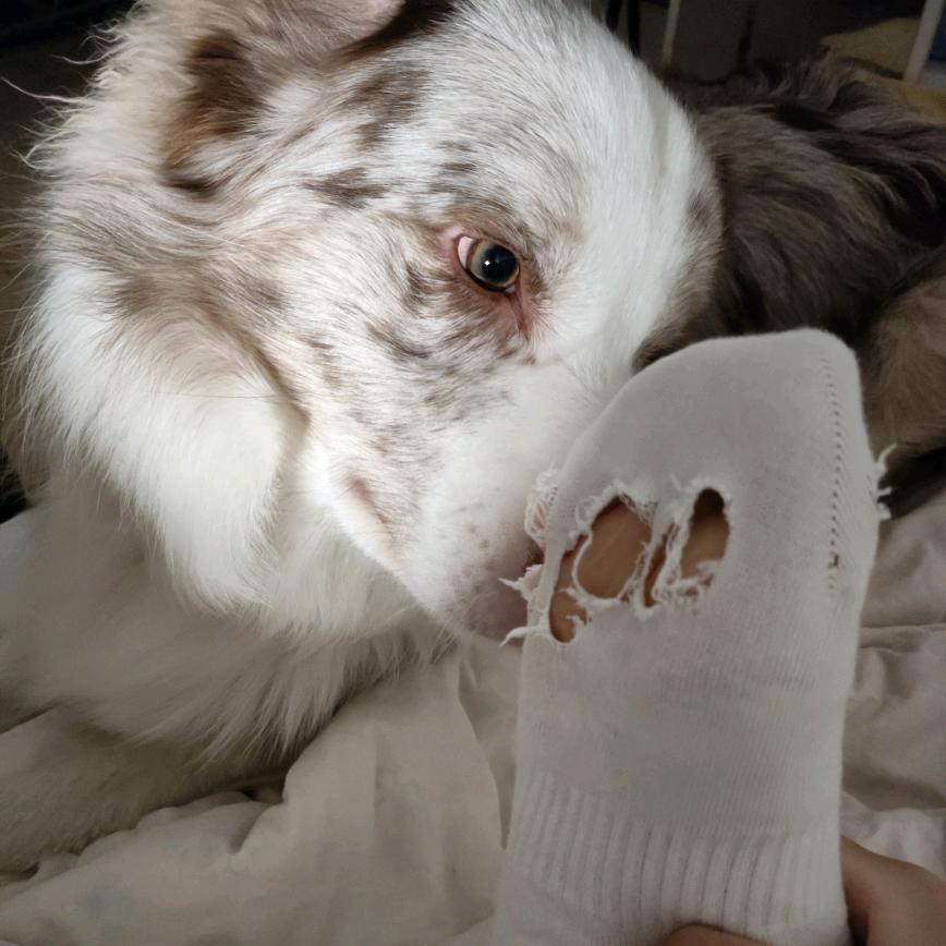 我要吃青草蛋糕