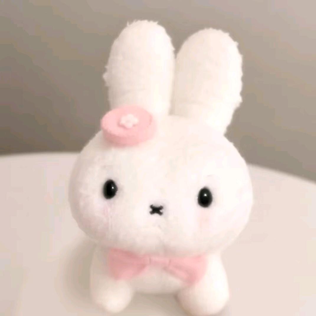 堂堂🧸
