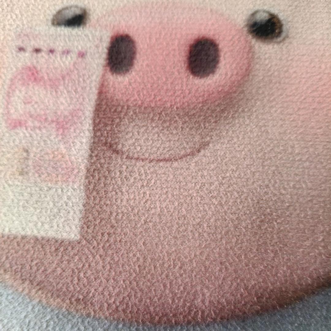 捣蛋鬼