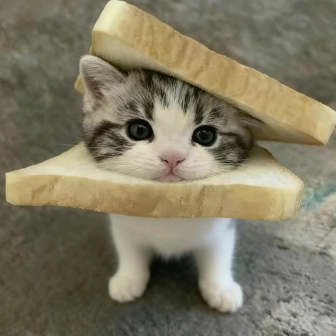 寻^