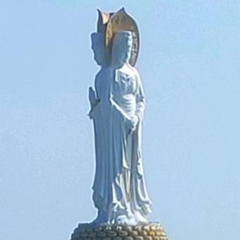 &^^人生*在*直播^^&