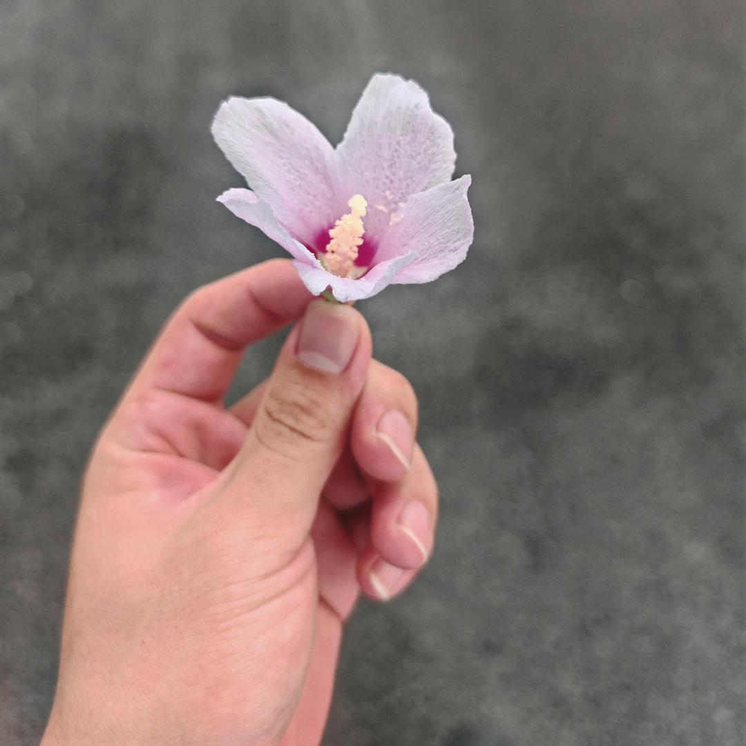 等价交换头像