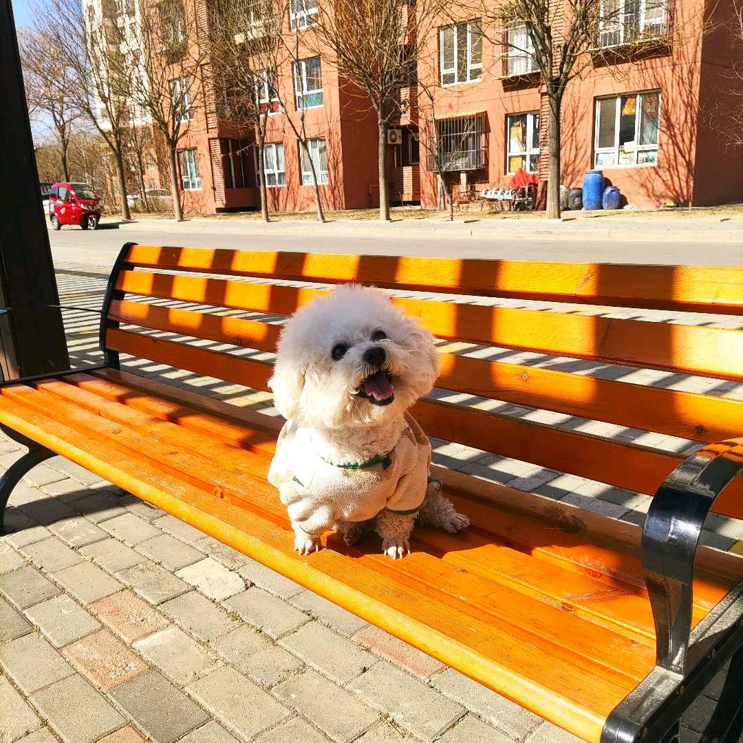 耀眼男神李明扬🍞