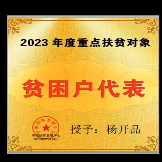 困难户（残疾人）