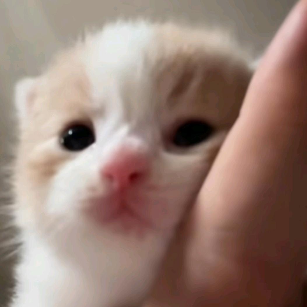 瘪瘪悦