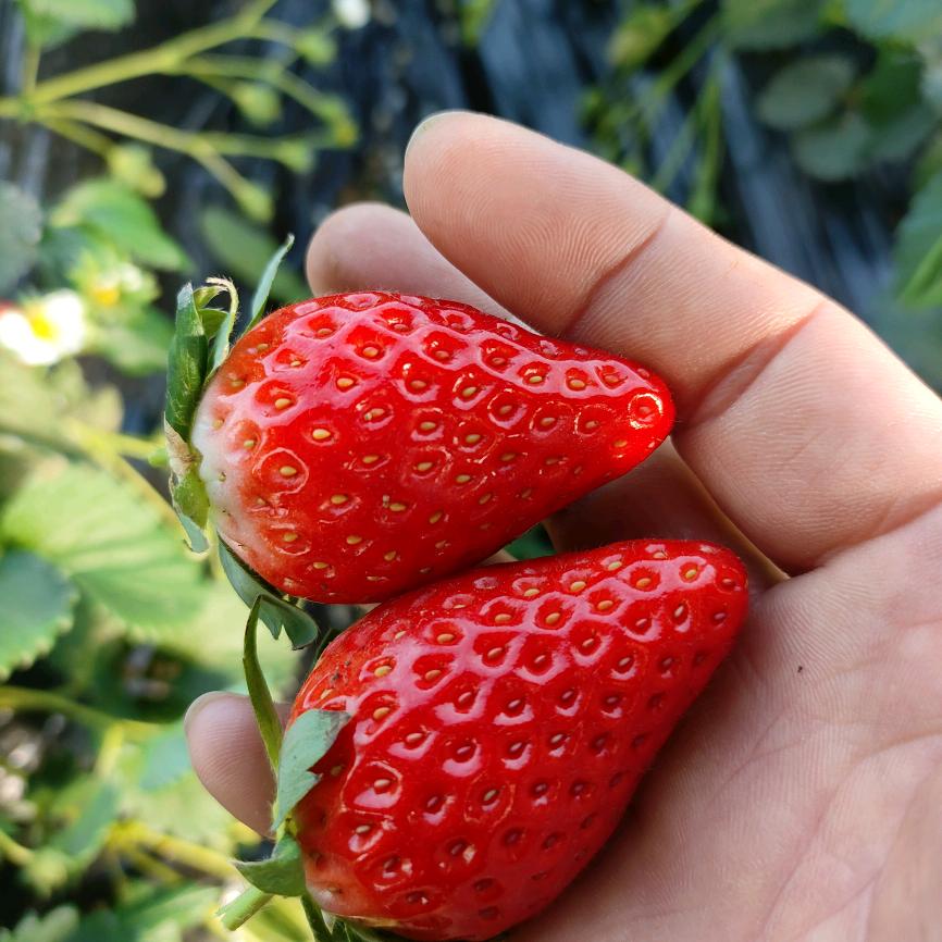 天行健🍓