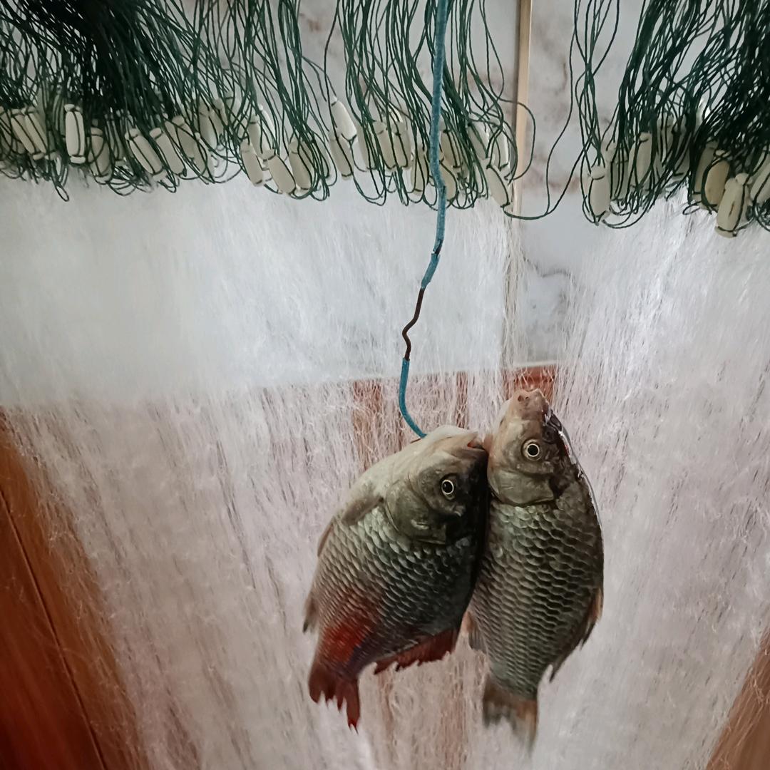 银河渔网（胡哥爱美食）