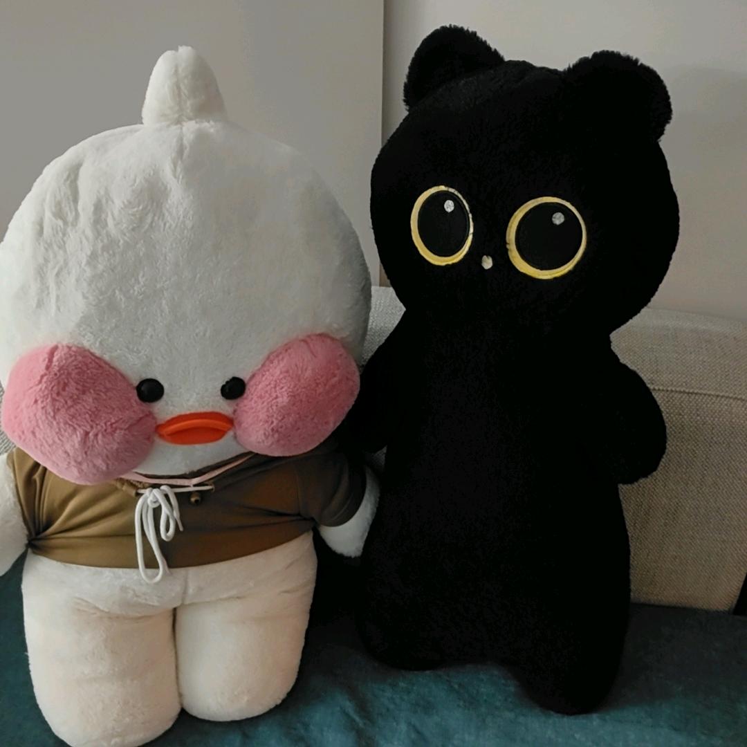 渐行渐远