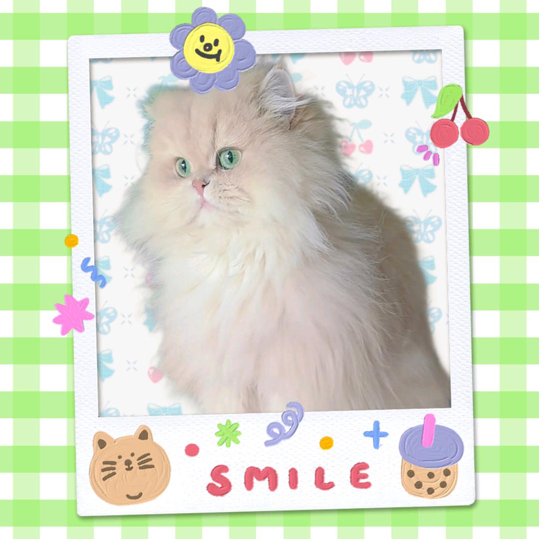 黏黏是个小唠叨.ʚʕ̯•͡˔•̯᷅ʔ