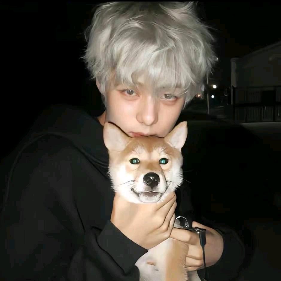 心绪（接护航➕天才）