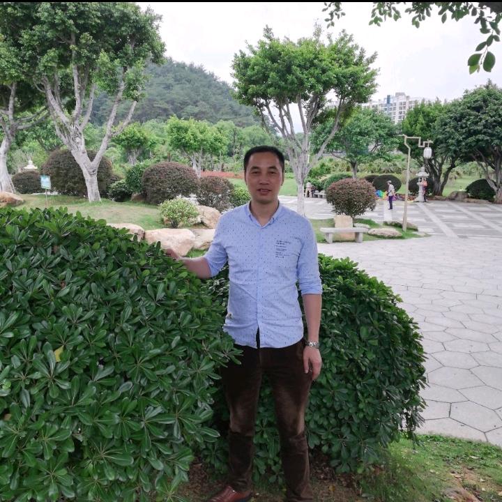 去伪留真