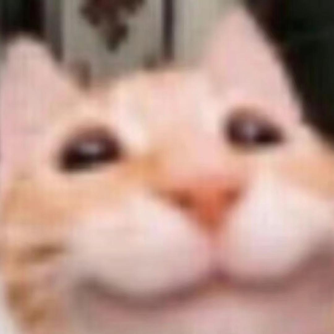 你好有事请call咪