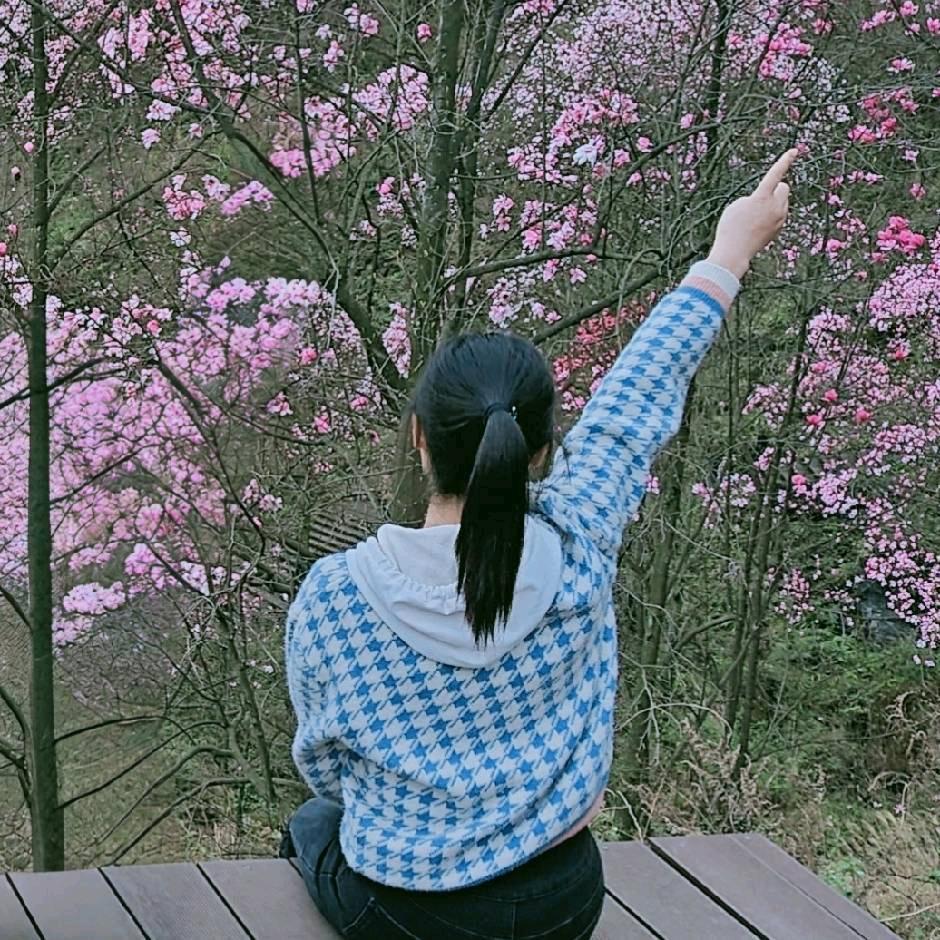 朱朱