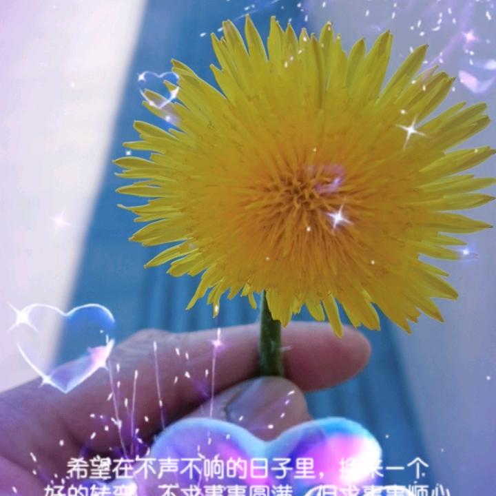 开心每一天🌹🌹🌹