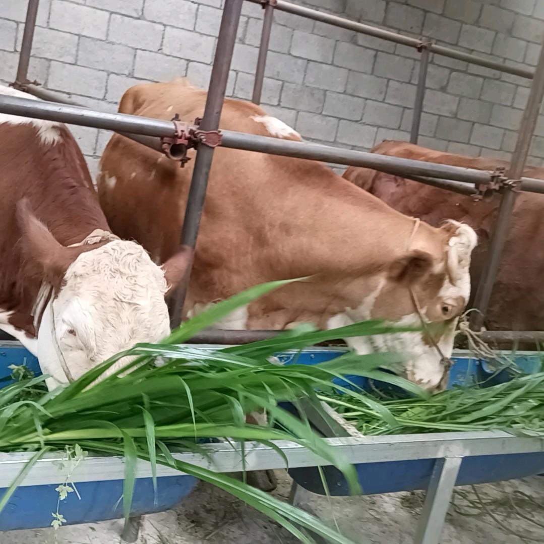 美好的明天只能靠自己