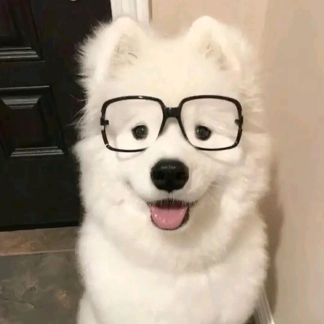 穷奇